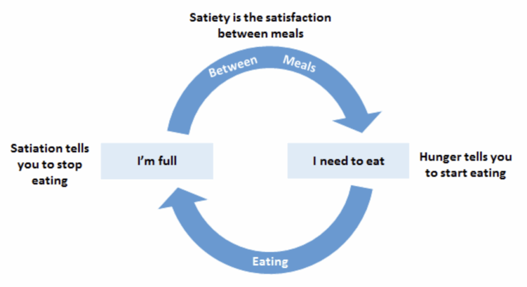 Zaburzenia odczuwania głodu, nasycenia i sytości to jeden z głównych powodów przewlekłej choroby otyłosciowej. 